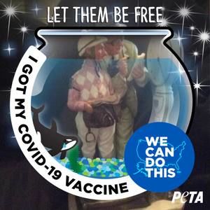 Meet your Posher, Jack